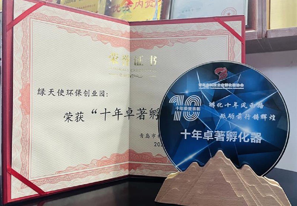 十大卓著孵化器