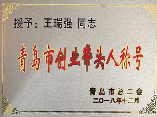 青岛市创业带头人