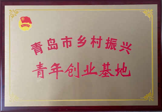 青岛市乡村振兴青年创业基地