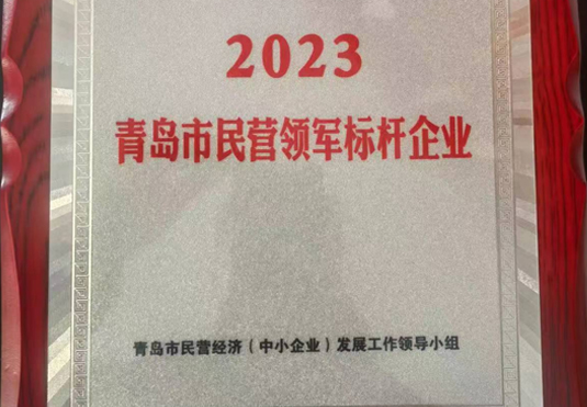 青岛市民营领军标杆企业