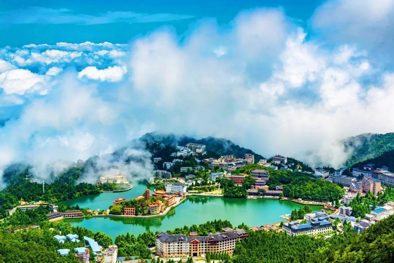 湖北省咸宁市供销合作社联合社党组书记刘海元一行来访绿天使参观交流 2509114.jpg
