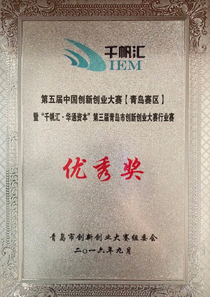 青岛市创新创业大赛优秀奖