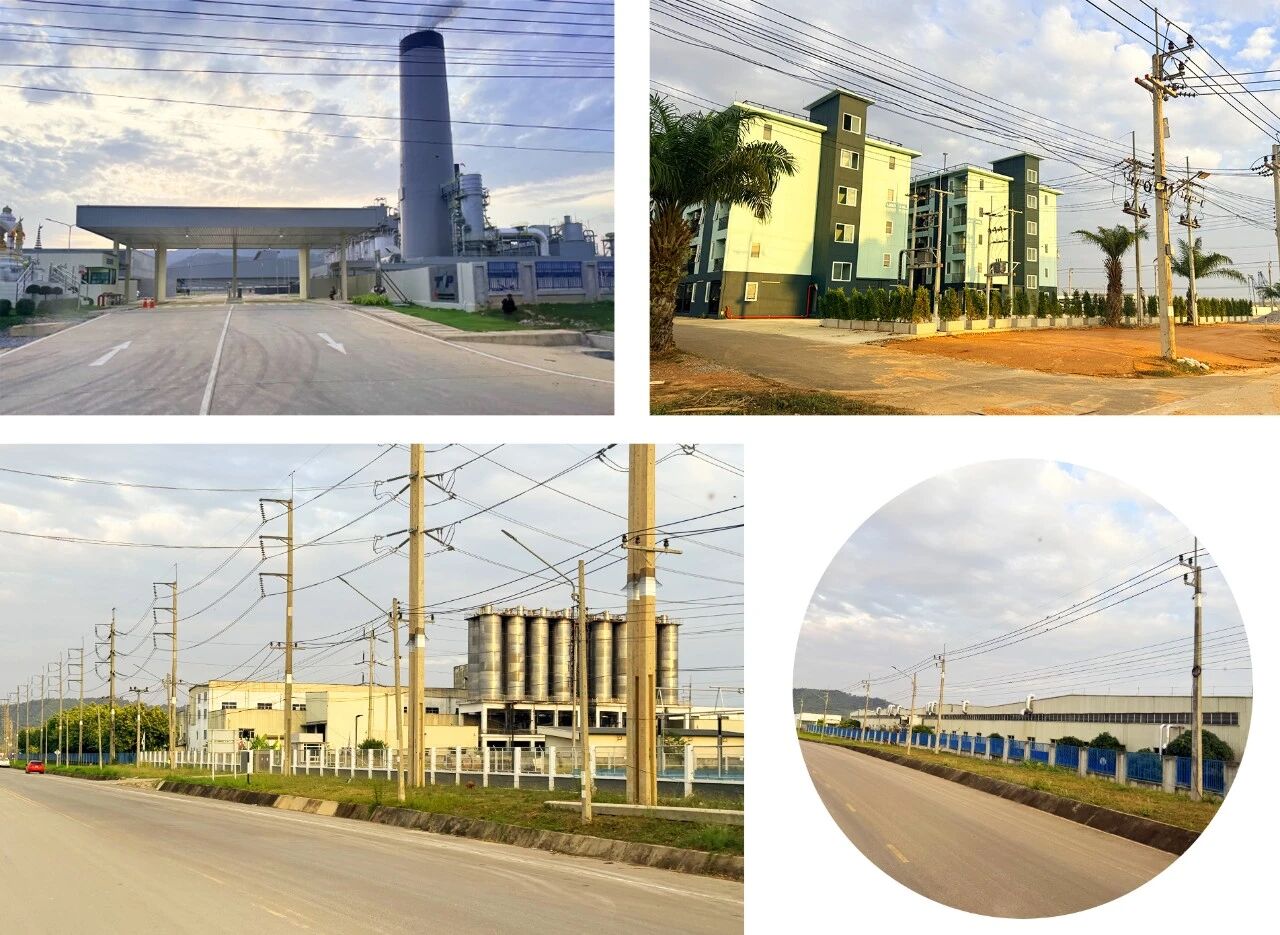 1771924562737293.jpg 2602132.jpg