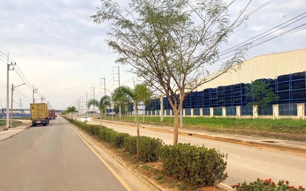 1771924591142555.jpg 2602135.jpg