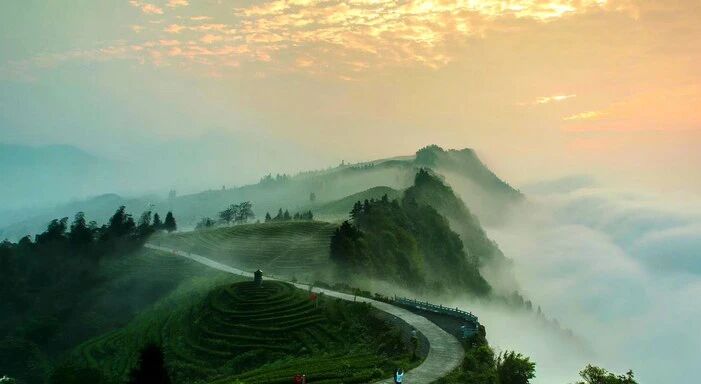 1771987231818281.jpg 2602103.jpg