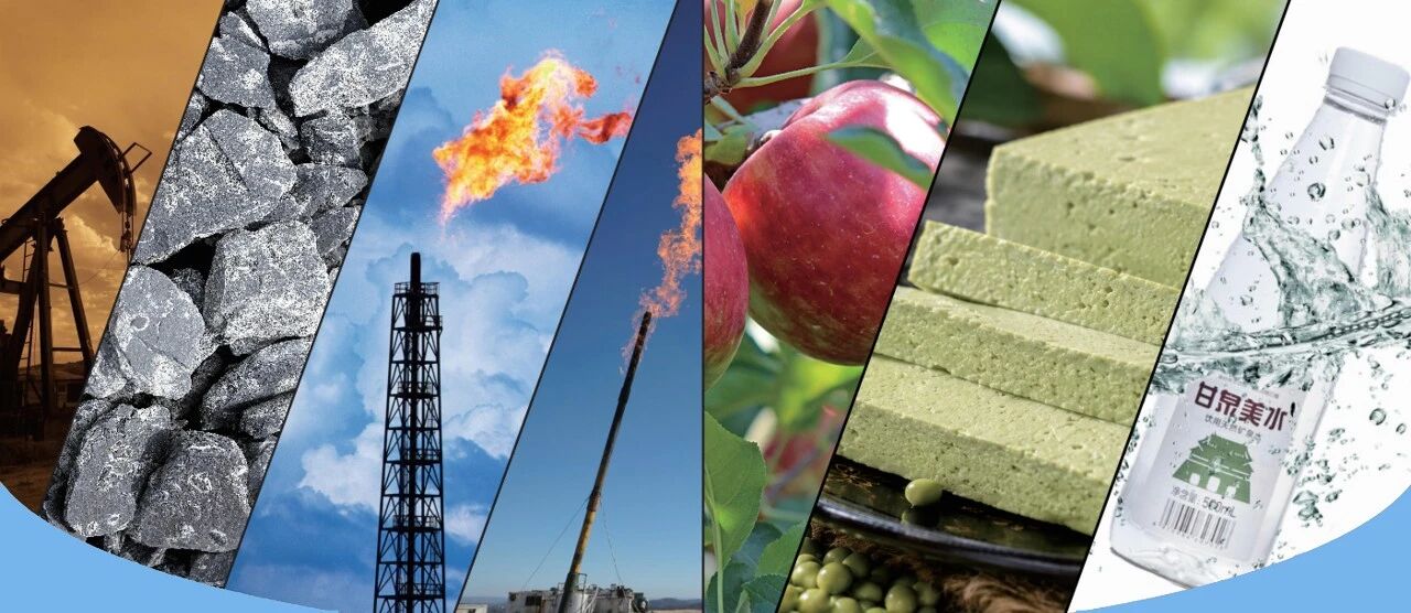 2608018.jpg