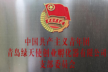 中国共产主义青年团支部委员会