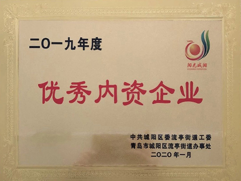 2019年度优秀内资企业