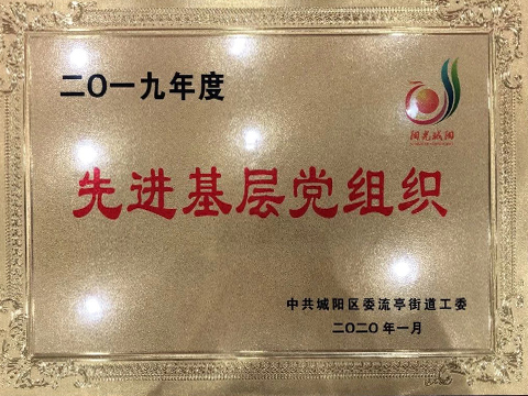 2019年度先进基层党组织